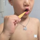 닥터노아동물병원 | 치과의사가 만든 안심템! 닥터노아 대나무 어린이 칫솔 &amp; 치약 후기