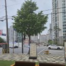 양계장집아들 이미지