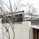 온담스테이 | ❄️ 눈 내리는 겨울날, 동화 속 같았던 경산펜션 스테이 온담 후기