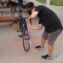 벨록스소프트 이미지