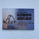 알팀도그