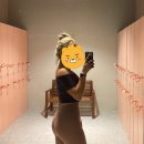 달곰 타이어 | [새이로그]9월일상