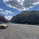 (주)바이오트리온 | 가을 단풍축제 아이들이랑 가볼 만한 곳 &lt;베어트리 파크&gt; 할인 팁, 후기