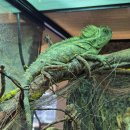 와우펫앤쥬 양산점 이미지