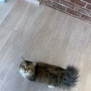 (주)집사의 하루 이미지