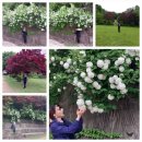 청곡농장 이미지