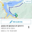 플로르보니따