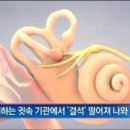 이석증 이렇게 한다 이미지