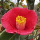 동백장여관 이미지