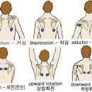 팀제이제이
