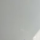 [구미꽃집 마음을담다] 봄맞이 힐링, 비산동꽃집에서 데려온 반려식물 후기