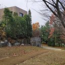 양지1공원 이미지