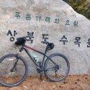 유계초등학교 이미지