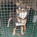 검정마을회관 이미지