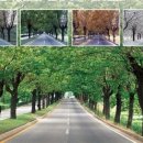 금수강산 - 영등포구 영등포로 147 | 금수강산