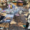 더블링독 이미지