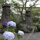 수눌음안경 이미지