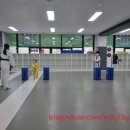 그린나래태권도 이미지