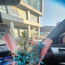 샘솟는화원 - 강화군 연미정길36번길 49 | 샘솟는화원