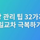이모란 동물병원 | 건강 관리 팁 32가지로 일교차 극복하기