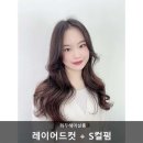 헤어툰