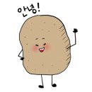 몰디브태닝 고양화정점