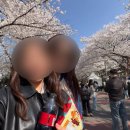 경마공원 | 과천 경마공원 벚꽃 후기 | 숨은 벚꽃 명소