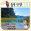 씨유 단양매포평동점 | 충북 단양 가볼만한곳 매포꽃정원 황화코스모스 곧 명소 실시간 개화