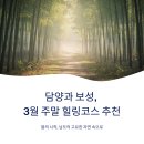 담양대숲다원 | 담양과 보성, 3월 주말 힐링코스 추천