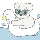 뚱이애견 이미지