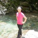 지리산글로벌 Daum카페