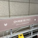 댕댕클라스 | 인천 부평웨딩홀 CN계산점 추천 식대 솔직후기 (+밥 맛있는 결혼식장임)