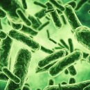 (주)너울정보 이미지