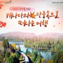 홀리데이여행