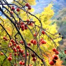 양지복지센터 이미지