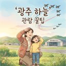 공군제1전투비행단 영내 | 광주 블랙이글스 에어쇼, 시간표부터 셔틀까지 놓치기 쉬운 관람 체크포인트