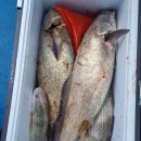 해성펜션 이미지