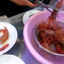 양포회수산