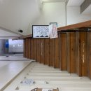 디캣 | 개냥이들 판치는 대구 고양이 카페 <디캣 고양이 카페> 후기