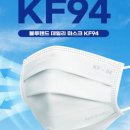 블루덴탈 이미지