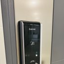 포레 스테이