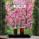 철가마터참숯굴찜질방 | [가창 카페목하] 봄의 끝에서 마주한 분홍빛의 위로 (내돈내산)