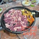 석전동223 | 마산 석전동 맛집 맛있는 생오리 🦆<또간집 1>