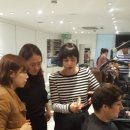 스크린헤어 Daum카페