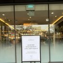 쇼호텔 | 수원 영통웨딩홀 '더마레보호텔' 쇼케이스 다녀온 후기