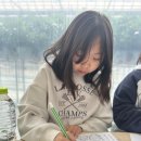 경희대한결태권도장 네이버블로그