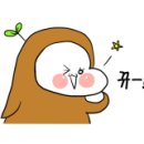 베러모먼트