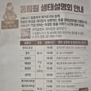 카페융가비