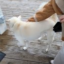 볼몽길하우스 네이버블로그