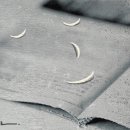 행복한 시 읽기 이미지